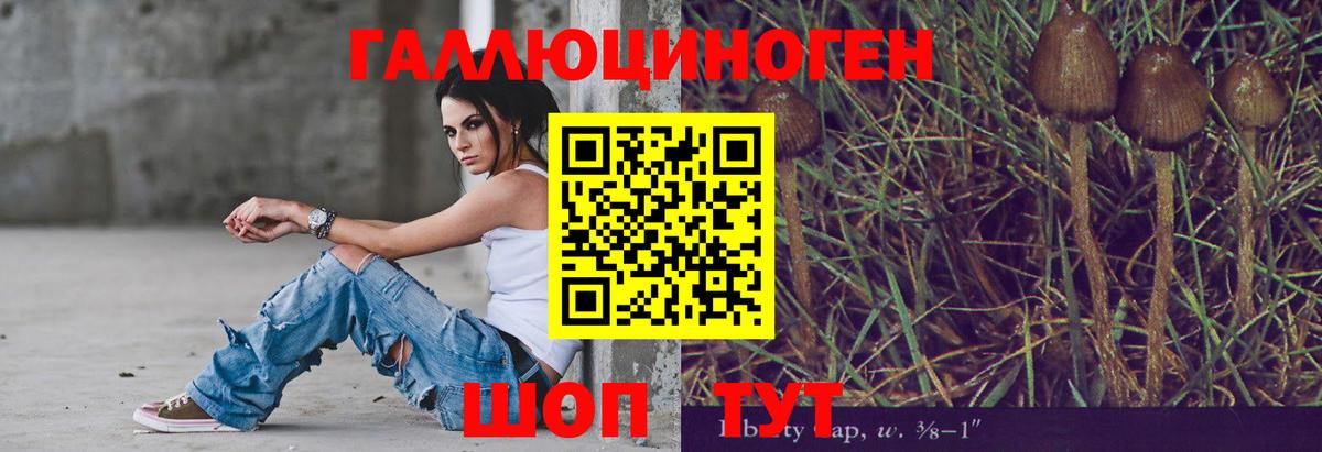 Галлюциногенные грибы ЛСД Михайловск